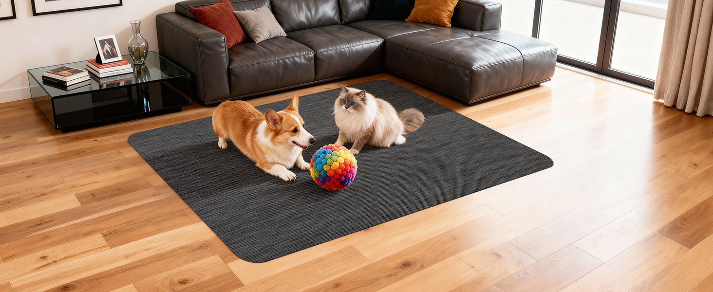 pet rug