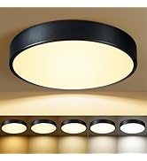 HLinghtnet Black Flush Mount Ceiling Light 12 inch LED Dimmable Ceiling Lamp 24W 5CCT(2700K-5000K...