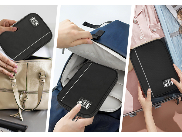 Electronic Organizer Travel Case