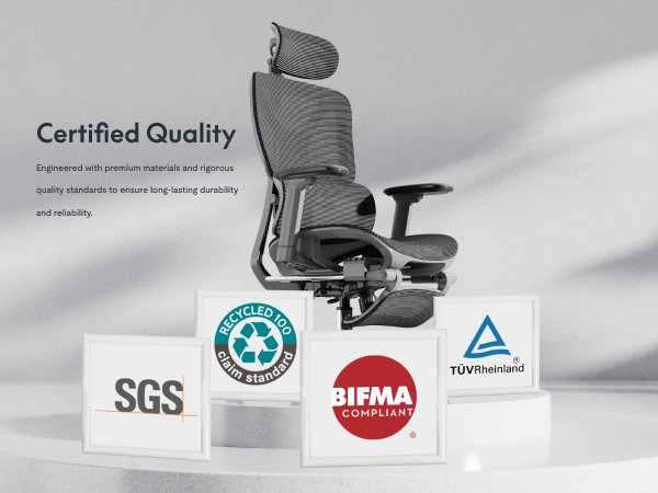 flexispot C7 office chair