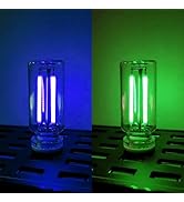 ChubbyGlow - Transparent RGB LED Light, USB Powered Lighting Mood with Touch Dimmable, Portable M...