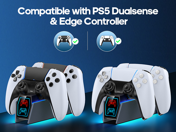 PS5 Controller Charger