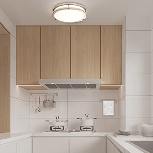 Ceiling Light Fixture