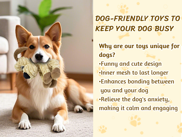 dog toys