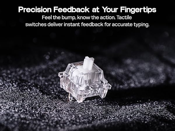 EPOMAKER LEOBOG Icesoul Tactile Mechanical Switch Set