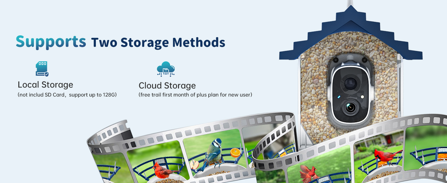 bird feeder with camera