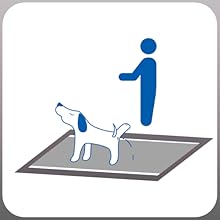 Pads for Training Dogs training cats