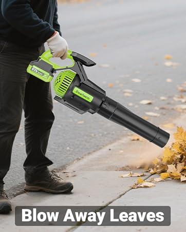 blowers for lawn care