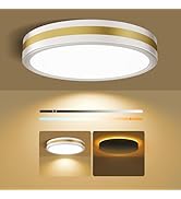 18 Inch Flush Mount Ceiling Light with Night Light, 5CCT Dimmable Ceiling Light Fixture, 2700K-65...