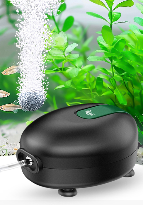 aquarium oxygen pump
