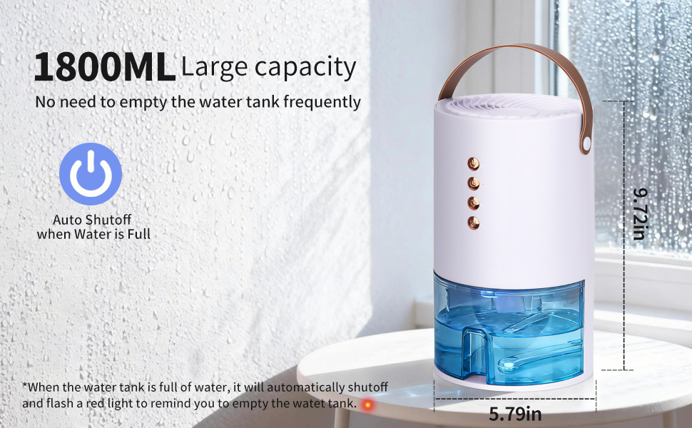 Dehumidifiers for Home