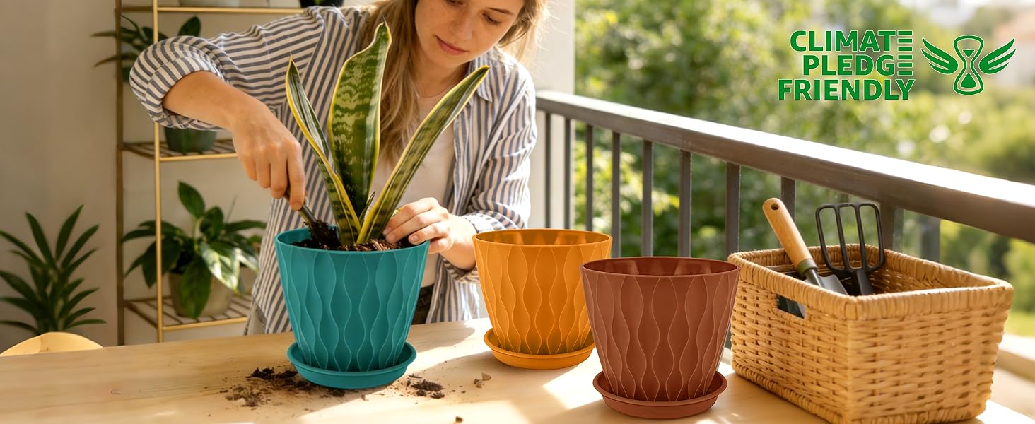 plant pot