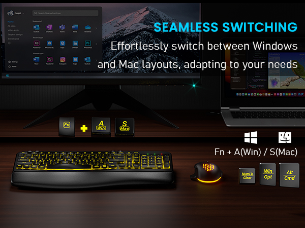 Win & Mac Layout