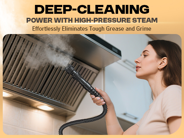 Heavy Duty Steam Cleaner