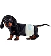 BV Male Dog Wraps, Small, 50 Counts Dog Diapers for Male Dogs, Disposable Puppy Wraps