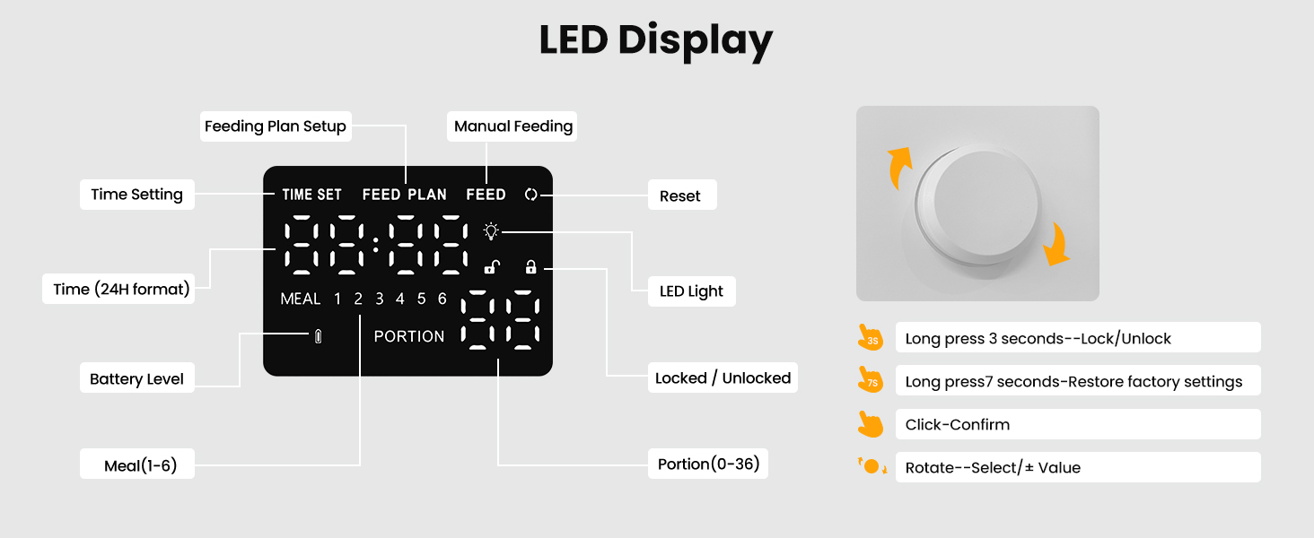 Automatic Cat Feeder and Water Dispenser