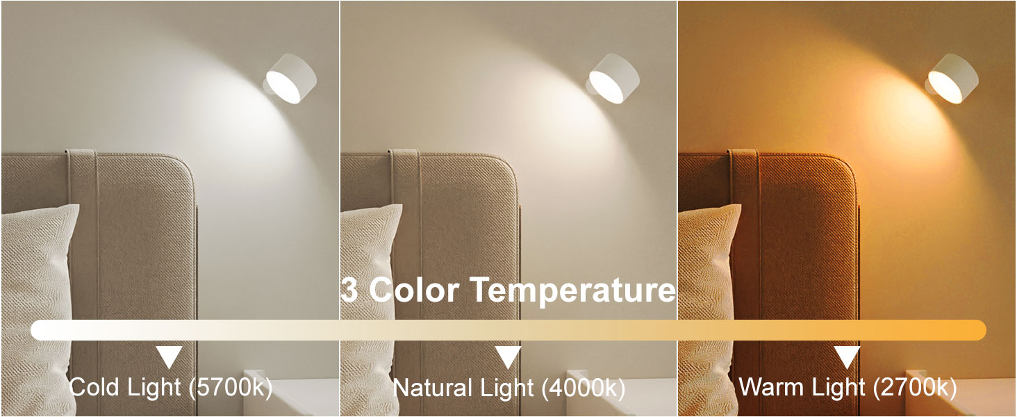 Reading Wall Mounted Lights