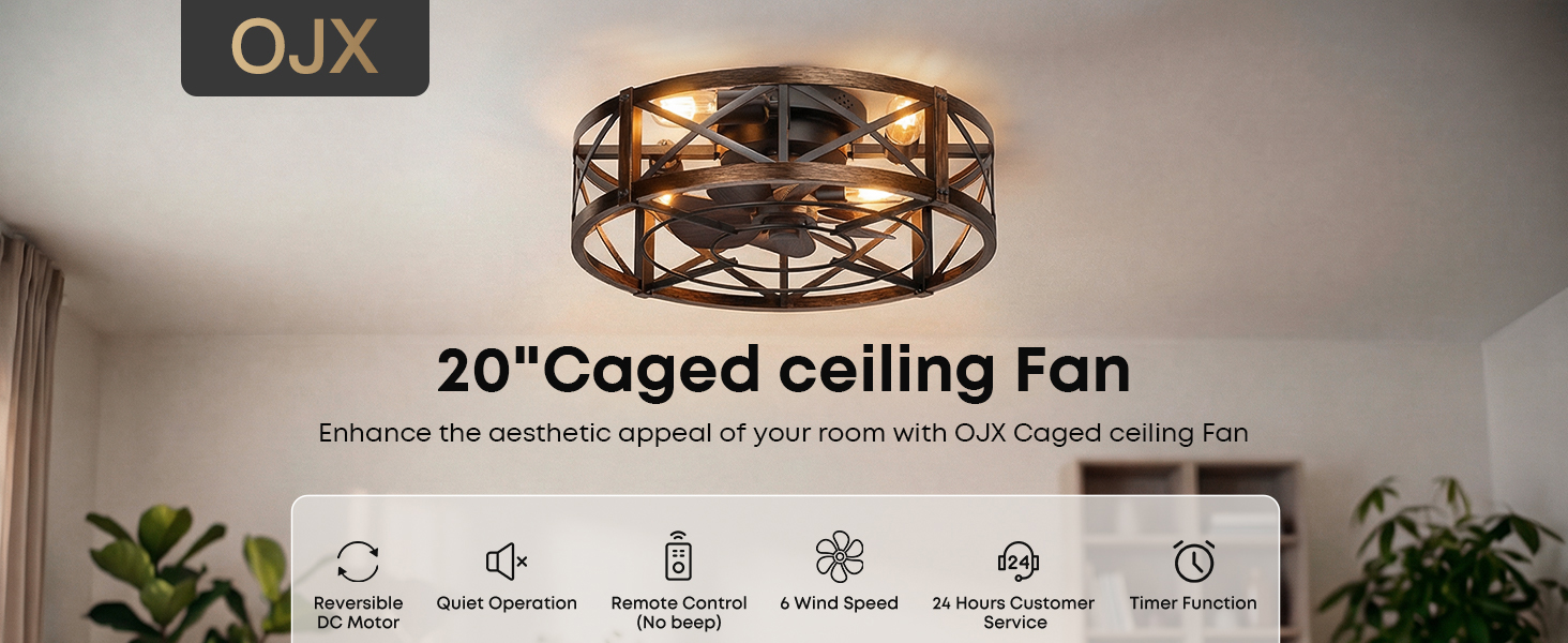 Caged Ceiling Fan with Light and Remote