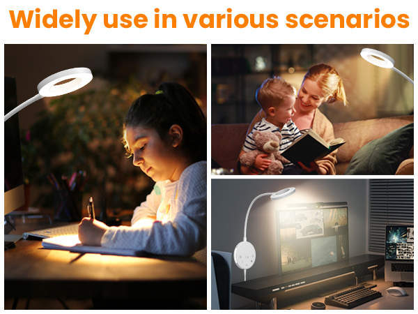 Wall Mounted Reading Light