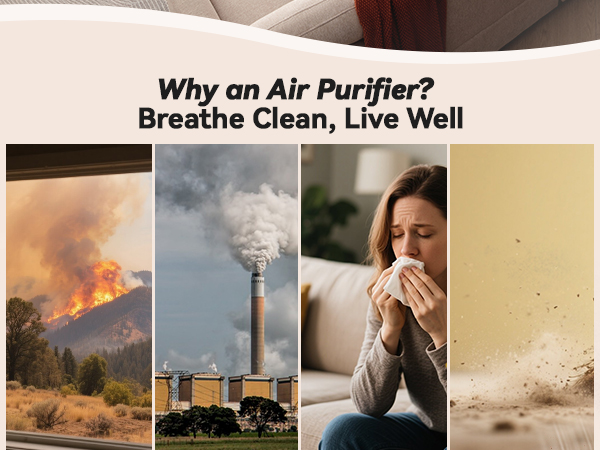 air purifier for home pets