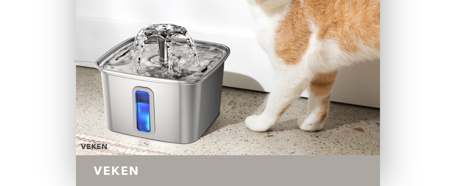 cat cat bowl cat it water fountain filters
