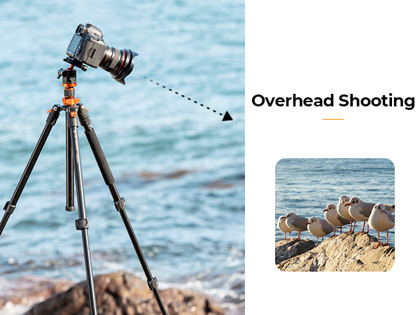 Overhead Shooting