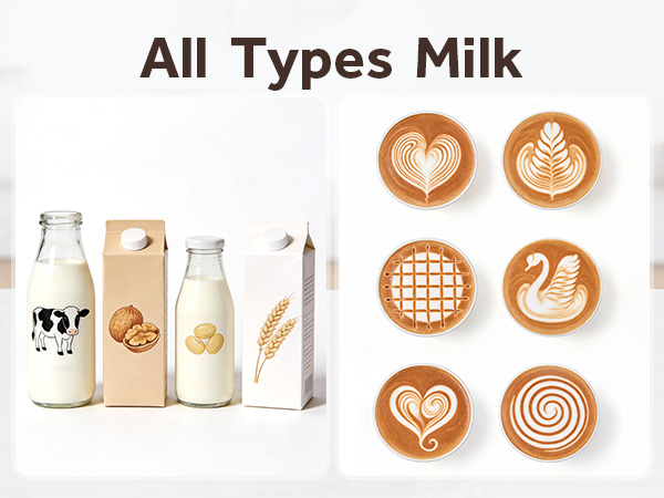 rechargeable frother handheld