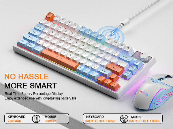 Rechargeable Keyboard and mouse