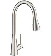 FORIOUS Kitchen Faucet with Pull Down Sprayer, Brushed Nickel, Classic High Arc Stainless Steel F...