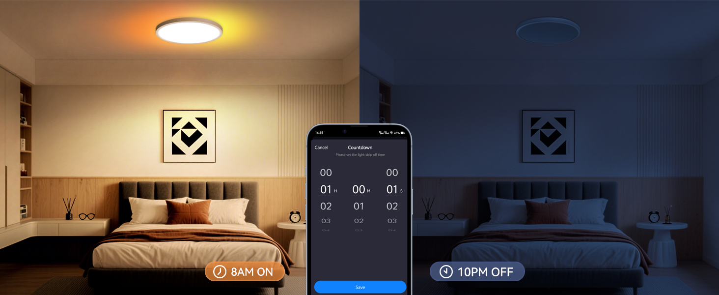 flush mount ceiling light