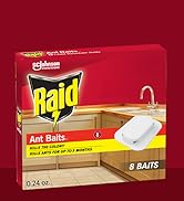 Raid Ant Bait 8 count