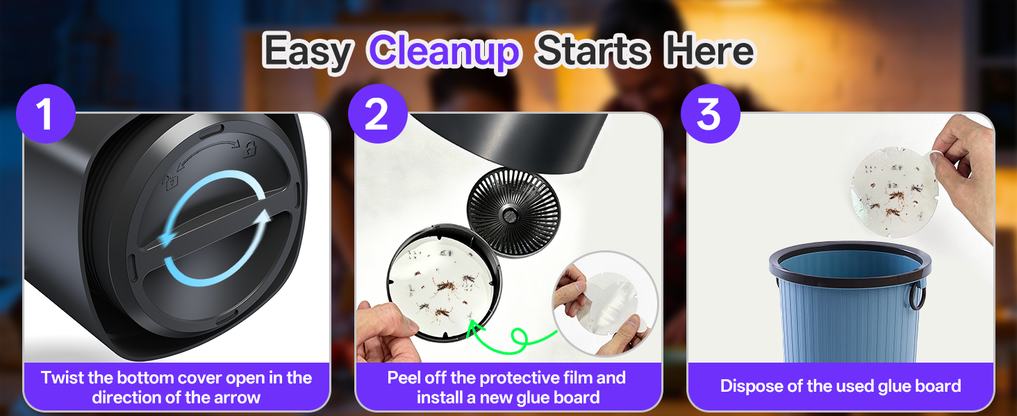 gnat traps for house indoor