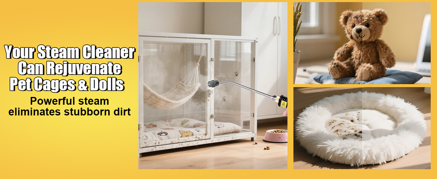 Steam Cleaner for Home