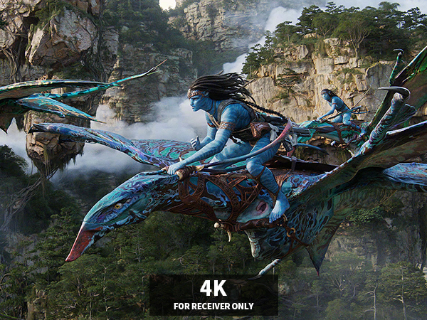 Wireless HDMI Display Dongle Adapter