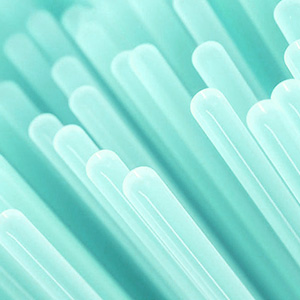 End-Rounded Bristles