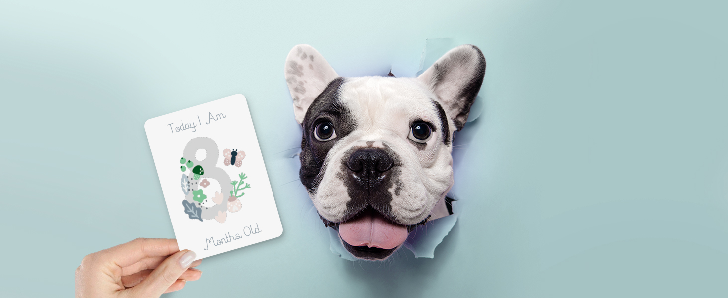 milestone cards memory adoption gift keepsake journey dog cat puppy kitten book alternative photo p