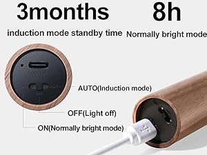 Rechargeable Battery