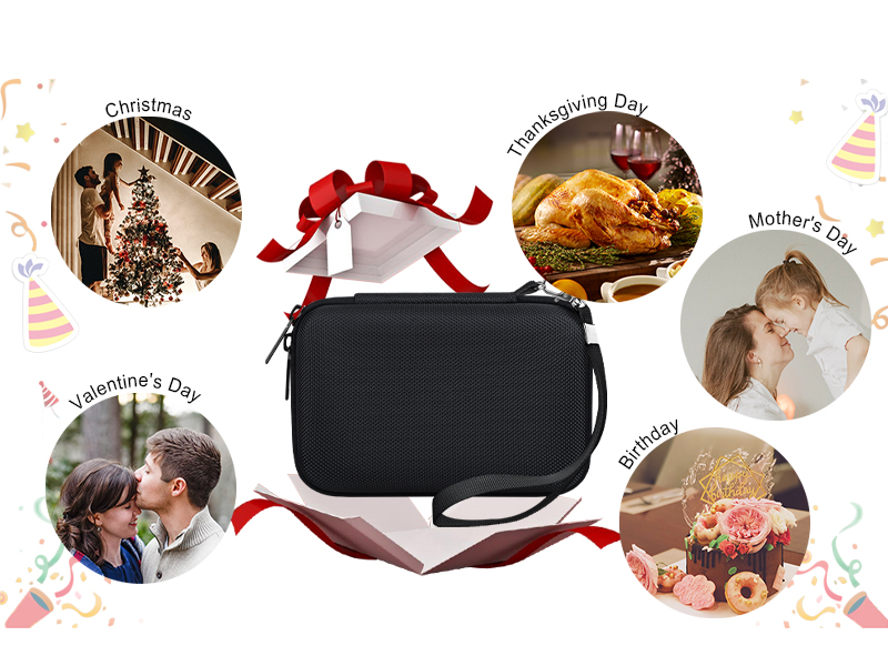 4K Vlogging Camera CASE