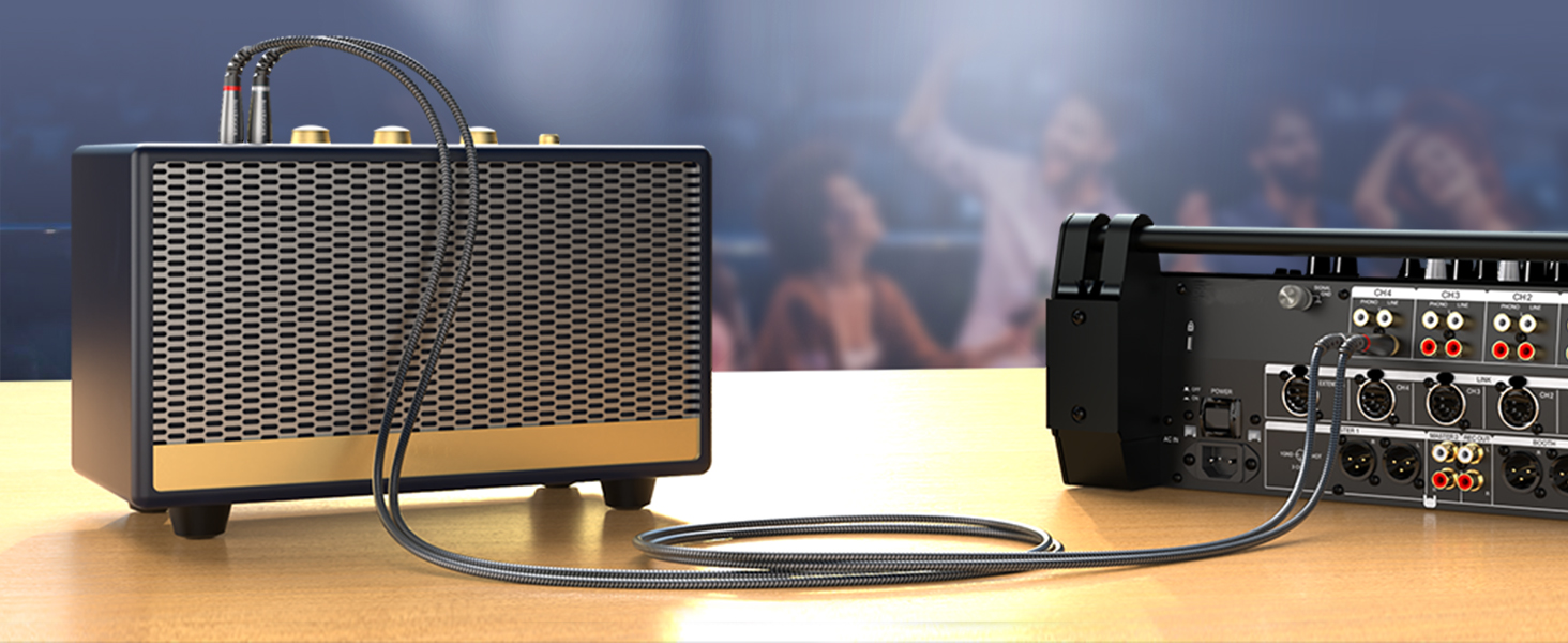 BLUERIGGER rca to rca audio cable male RCA audio interface amplifier easy connect long lasting dual