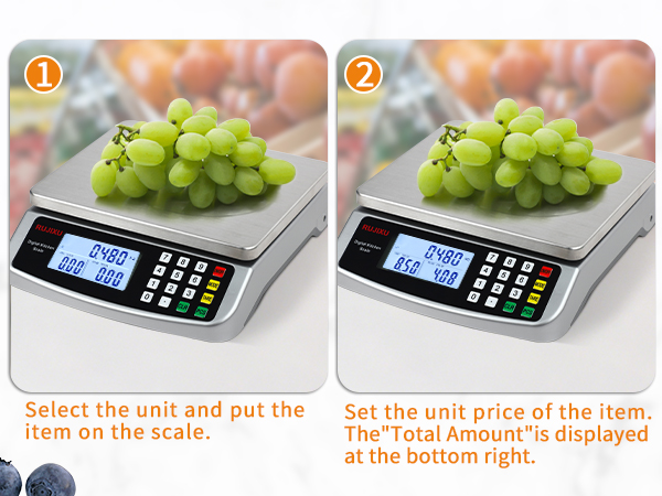commercial food scale
