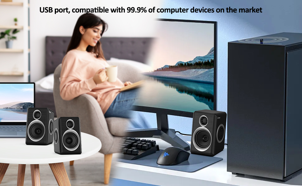 Speakers for PC or Laptop