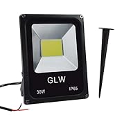 GLW 12V~60V 30W LED Flood Light Outdoor Waterproof IP65 Super Bright Outdoor Light LED Energy Sav...