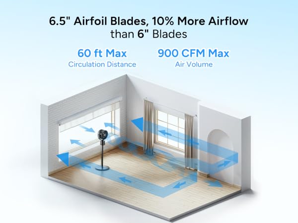 circulator pedestal fan