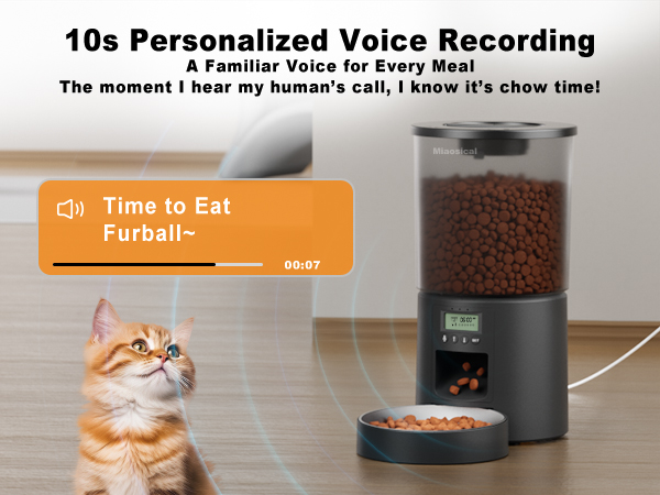 auto cat feeder dry food