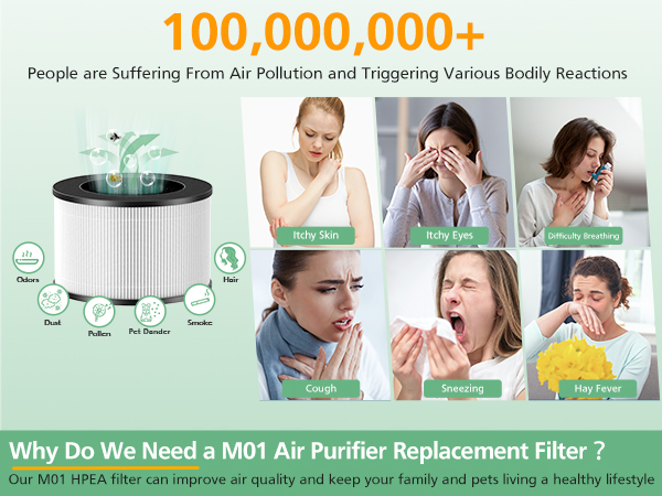 m01 air purifier filter