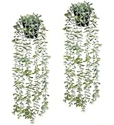 echosari 2 PCS Fake Hanging Plants, Artificial Potted Plants Eucalyptus, Greenery Faux Plants Ind...