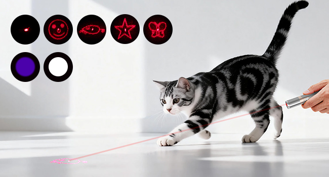 cat toy with fun patterns