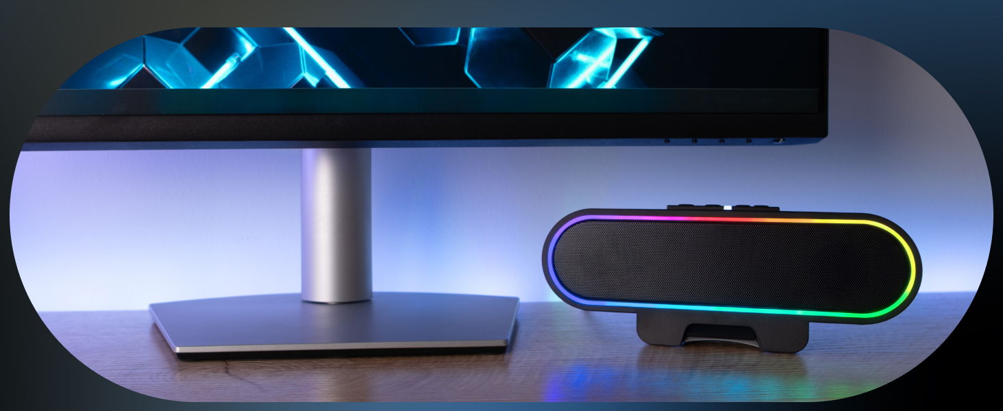 CA-2890GX Standalone Speaker