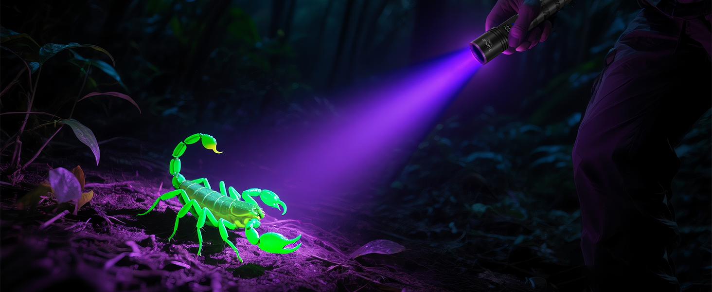 Scorpion Hunting