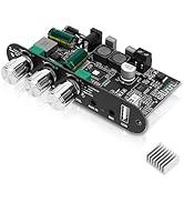 ZK-1001UM Power Amplifier Board with Karaoke Microphone Reverb Mono 100W Audio Amplifier Power Am...